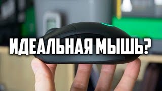 Идеальная игровая мышь  Logitech Lightspeed G703 [upl. by Ik]