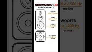 Tipos de parlantes o bocinas electronicafacil amplificadoresdeaudio bocina crossover audio [upl. by Hairahcez]