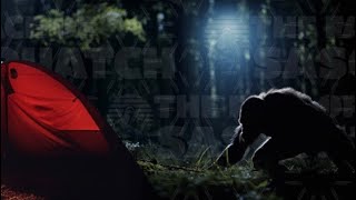 Bigfoot Encounters Camping Overnight Sasquatch Provincial Park [upl. by Rawlinson]