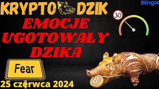 Dzika Analiza25062024 EMOCJE UGOTOWAŁY DZIKA  BTCETHMATICETCINJRMDR [upl. by Arand]