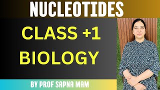 NUCLEOTIDES  CLASS 1 BIOLOGY BY PROF SAPNA MAM [upl. by Schuler]