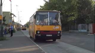 Ikarus 26043 of Borsod Volán departs in Szerencs HD [upl. by Mongeau]