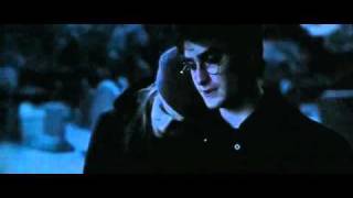 Harry Potter and the Deathly Hallows Part 1 Godrics Hollow scene [upl. by Daly724]