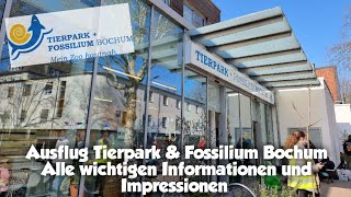 Tierpark amp Fossilium Bochum  Alle wichtigen Informationen und Impressionen  Vlog [upl. by Abibah]