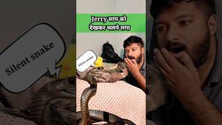 Baby Duck को मिला नया जीवनदान साँप के हमले से जरी चलने लगा  youtubeshorts birds jerry trending [upl. by Atiuqin708]