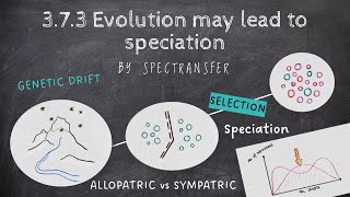 EASY REVISION AQA ALevel Biology 373 Evolution may lead to speciation [upl. by Einneb]