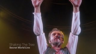 Peter Gabriel  Shaking The Tree Secret World Live HD [upl. by Arval]