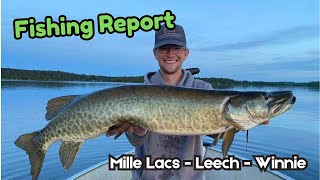 Minnesota Fishing Report  Mille Lacs Lake Leech Lake and Lake Winnie 060624 [upl. by Dielle]