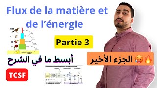 TCSF  Le flux de la matière et de l’énergie dans l’écosystème  Partie 3  ✅🔥أبسط ما في الشرح [upl. by Ladnek769]