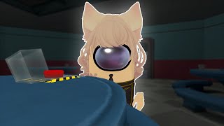 We Played Among Us IN VRCHAT  Funny VRChat Highlights [upl. by Sherrie]