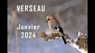 VERSEAU ♒ JANVIER 2024Waouh  Travail argent famille Vos rêves sont actés réalisation en cours [upl. by Goto357]