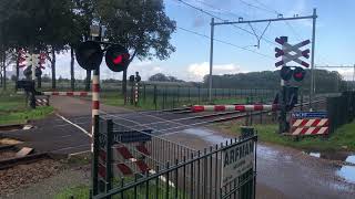 Spoorwegovergang Maasbracht  Dutch Railroad Crossing [upl. by Abram399]