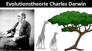 Evolutionstheorie nach Charles Darwin Prinzip der natürlichen Selektion  Biologie Oberstufe [upl. by Koziel]