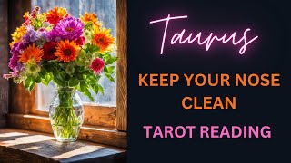 TAURUS  KEEP YOUR NOSE CLEAN  TAROT READING [upl. by Akenom68]