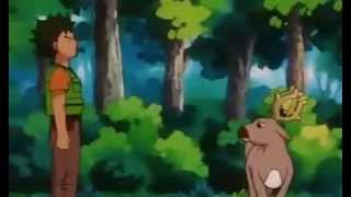 Brock tells off a baby Stantler [upl. by Cida777]