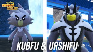 How to get Kubfu amp Urshifu in Pokemon Scarlet amp Violet [upl. by Dahraf]