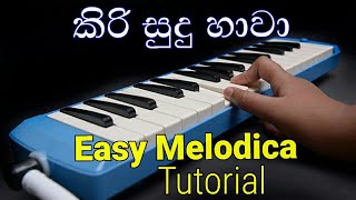 Kiri Sudu Hawa Melodica Notes  Sinhala Kids Songs  Lama Geetha  Music Sir [upl. by Netsyrk]