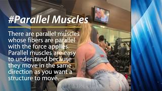 PARALLEL VS PENNATE MUSCLES Ursulla Fernandes Brazilian Awesome Workout [upl. by Eciened187]