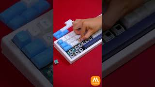 Bạn có biết Akko còn có bộ keycap này akko maxpinggear keycaps profile mda uncblue shorts [upl. by Lissy]