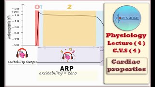 المحاضرة 4 تكملة شرح خصائص عضلة القلب Physiology  Lecture  4   CVS  4   Cardiac properties [upl. by Swan]