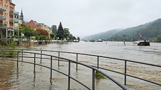 Hochwasser 2024 I Bad Schandau I Sächsische Schweiz I 1609 2024 [upl. by Euqinna720]