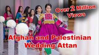 Afghan and Palestinian Wedding Attan Performance [upl. by Hnahk]