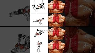 Transform Your Chest Best Inner Chest Workout for Massive Gains [upl. by Olotrab]