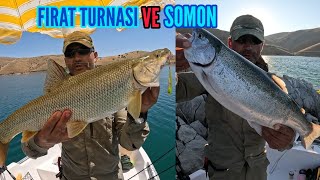 Fırat Turnası ve Somon Avı Endemic FishingLuciobarbus Esocinus Salmon Fishing jackallfishing [upl. by Tatianas230]