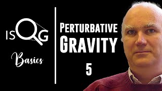 Perturbative Quantum Gravity  Lecture 5  John Donoghue [upl. by Cherian507]