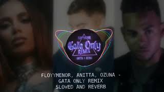 FLOYYMENOR ANITTA OZUNA  GATA ONLY REMIX SLOWED AND REVERB [upl. by Leoine]