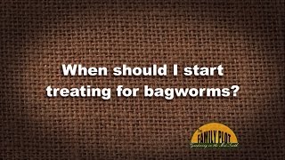 QampA  When should I start treating for bagworms [upl. by Akinad701]