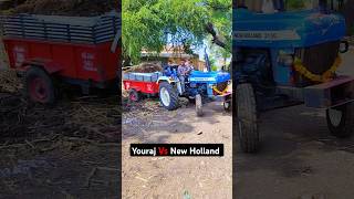 😱 गोबर से भरी हुई Trolley Fass Gai hai dailyminivlog villagelife errorkirru tractor shorts [upl. by Bever399]