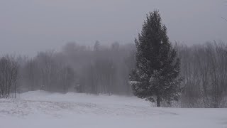 Śnieżna zamieć relaksujący dźwięk wiatru silny wiatr i śnieg  4K Ultra HD [upl. by Aicella413]