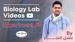 Biology Lab  Experiment 3 Macromolecules and living things By باسل النجار [upl. by Amme]