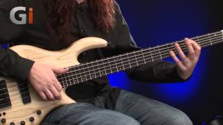 Elrick Expat eVolution 5String Bass Guitar Review [upl. by Nahtaneoj]