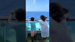 Royal Caribbean Voyager of the Seas Cabin Tour with Verandah Balcony Room [upl. by Mariele148]