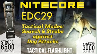 Nitecore EDC29  Tactical Modes Search amp Strobe against Dog Attacks [upl. by Trilbie]