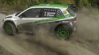 Rallye Deutschland 2018  WRC2 Test  Flat Out amp On the Limit [upl. by Tenej]