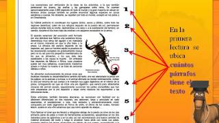 Técnicas de comprensión lectora [upl. by Yeclehc]