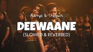 Deewaane Slowed  Reverb  Aditya amp Stebin  Selfie movie new song  Lofi edit 2023 [upl. by Kramlich]