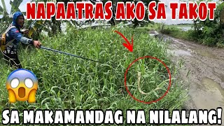 Napa atras ako at natakot ng makita ko ito makamandag na nilalang samin pangingisda [upl. by Traggat]