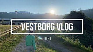 JUNI VLOG [upl. by Fontes]