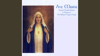 O Salutaris Hostia Gregorian Chant Mode VIII [upl. by Amelie]