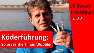 Köderführung für Wobbler [upl. by Vikki]