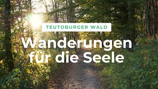 Teutoburger Wald Wanderungen für die Seele [upl. by Hett]