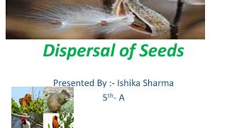 EVS Project quotDispersal of Seedsquot by Ishika Sharma Class V [upl. by Ulland866]