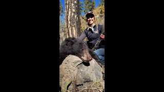 Raw GoPro footage of a bear hunt with hounds [upl. by Arimat149]