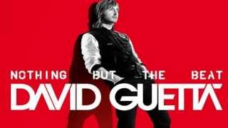 David Guetta Ft Sia  Titanium [upl. by Lesoj]