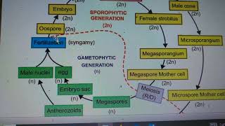 biology උසස්පෙළ guess question 2023 ජනවාරි speed revisionguess [upl. by Nagah]