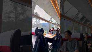 Switzerland 🇨🇭 లోని ఈ ట్రైన్ జర్న్ 👌  Telugu Traveller [upl. by Ogu]